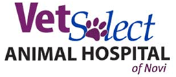 VetSelect Animal Hospital of Novi